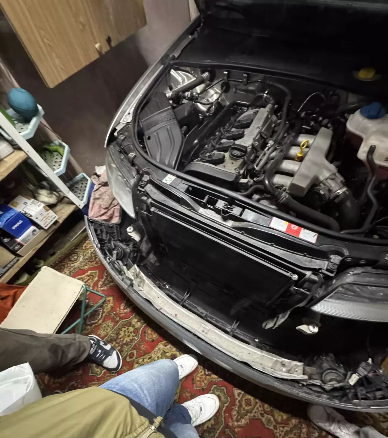 Німці щось знають про знущання над людьми