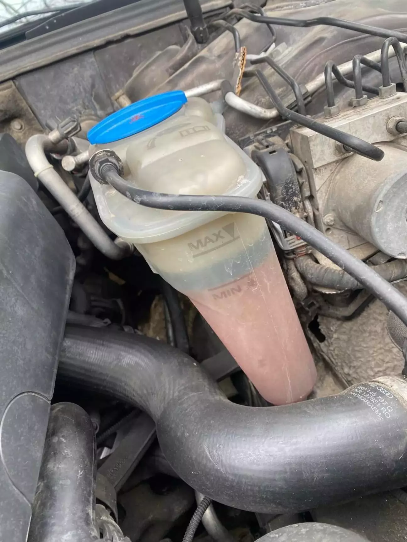 Середина лютого (масла більшає, антифризу меншає)