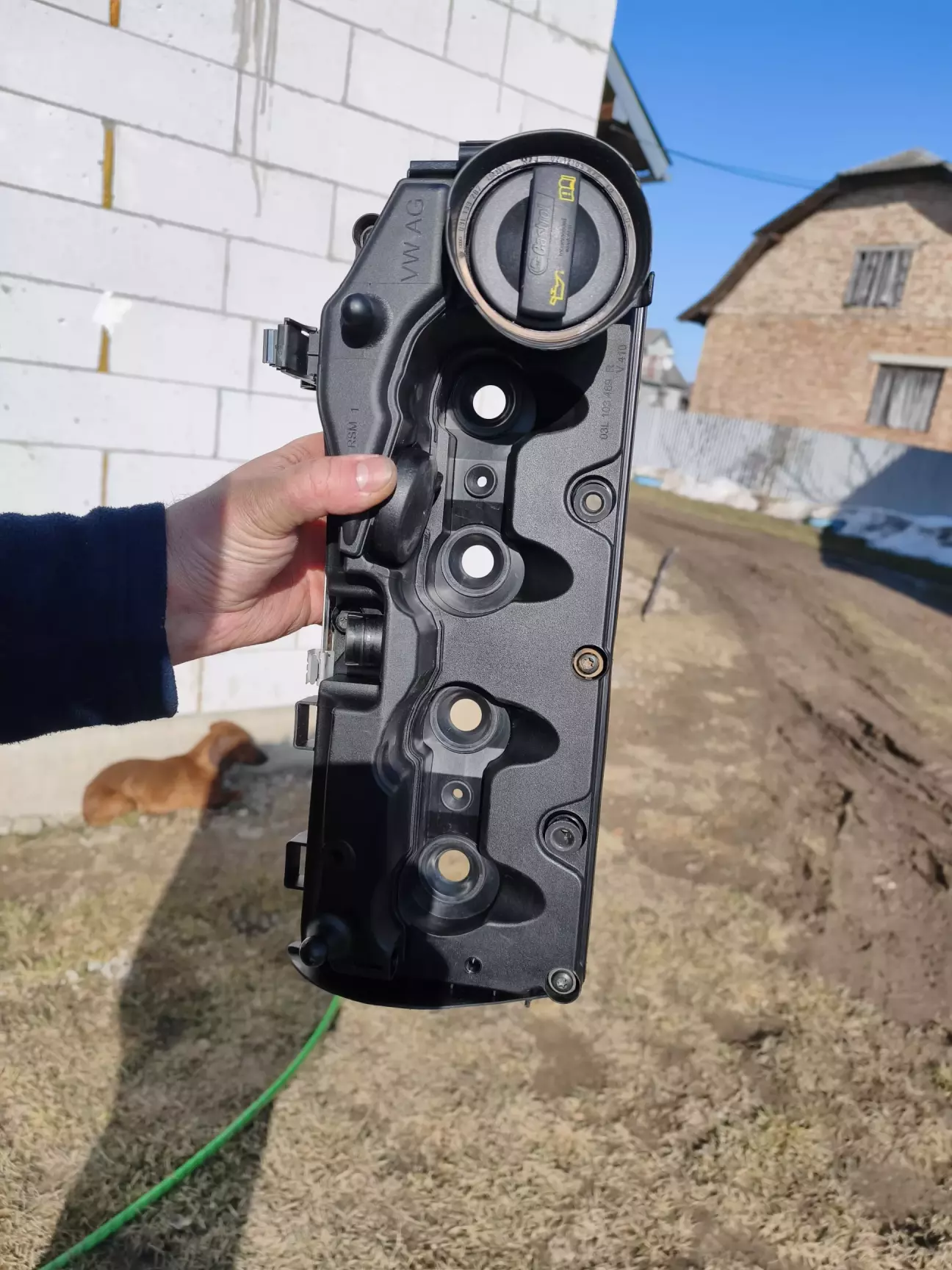 Не міг сфоткати таку красу