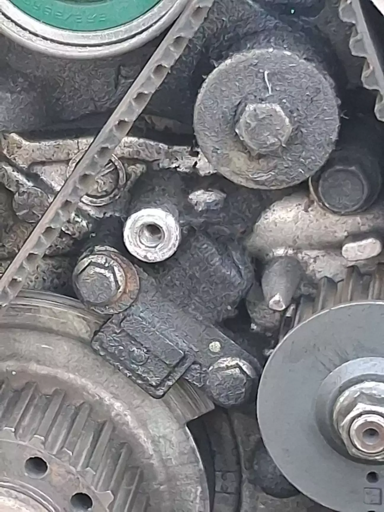 От він, виновник цього всього дійства.