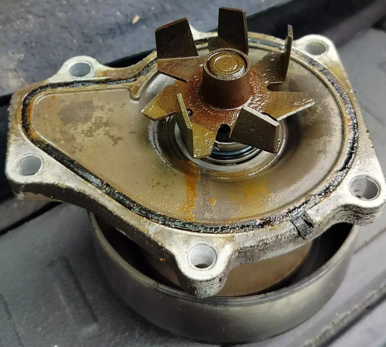 Водяний насос (помпа). Відсутні два крильчатки.