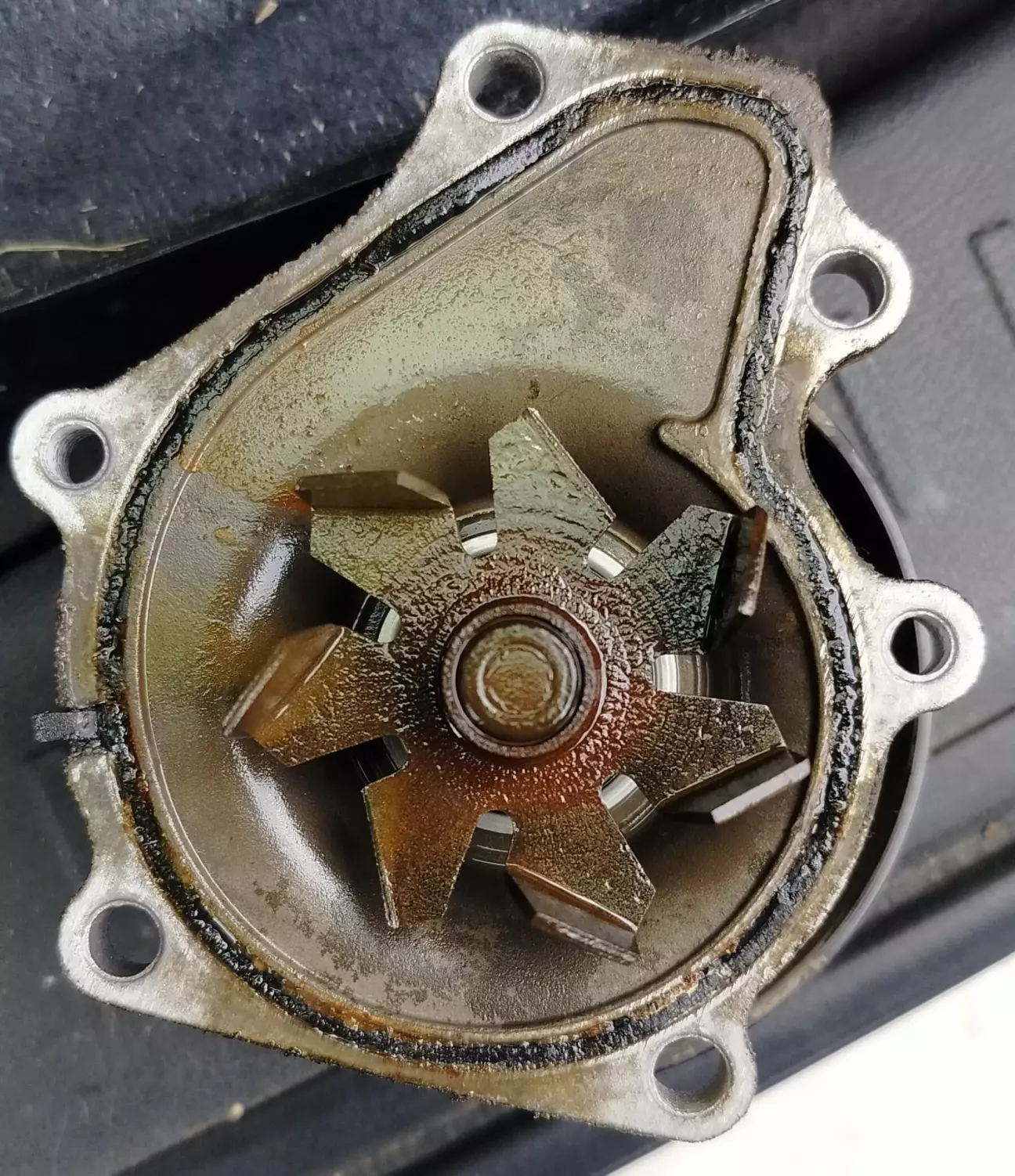 Водяний насос (помпа). Відсутні два крильчатки.