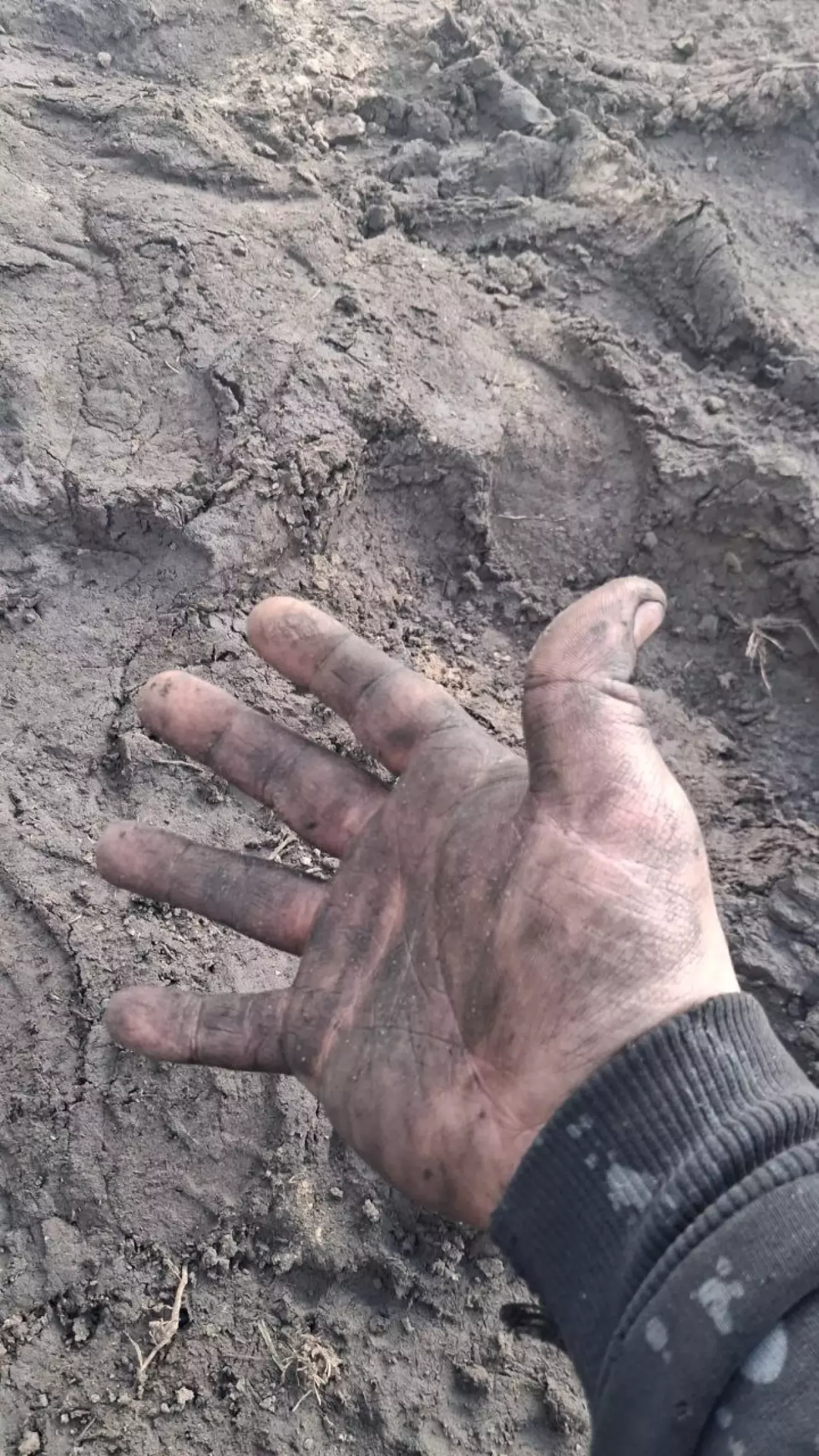 Як добре, що наші дороги дозволяють двигуну залишатися чистим (сарказм).