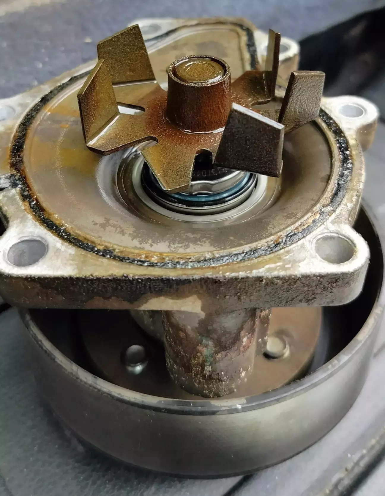 Водяний насос (помпа). Відсутні два крильчатки.