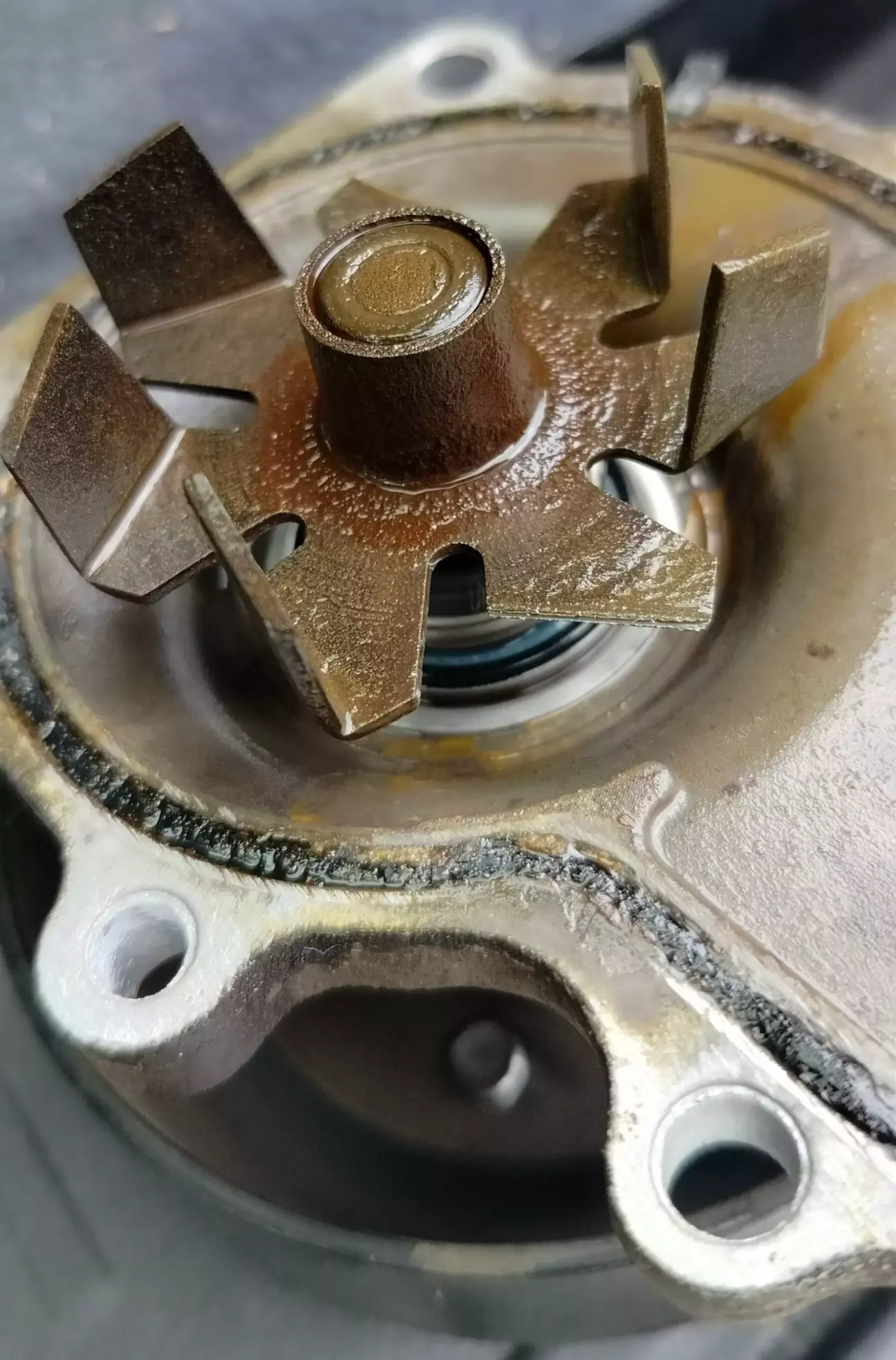 Водяний насос (помпа). Відсутні два крильчатки.