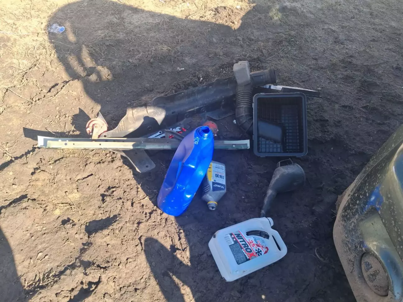 Барахлішко гріється весняним сонцем.