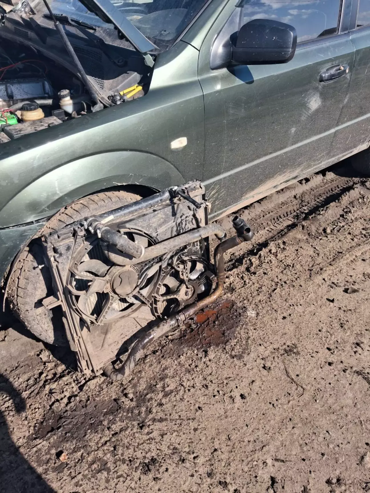 Ставимо його сохнути і відпочивати.