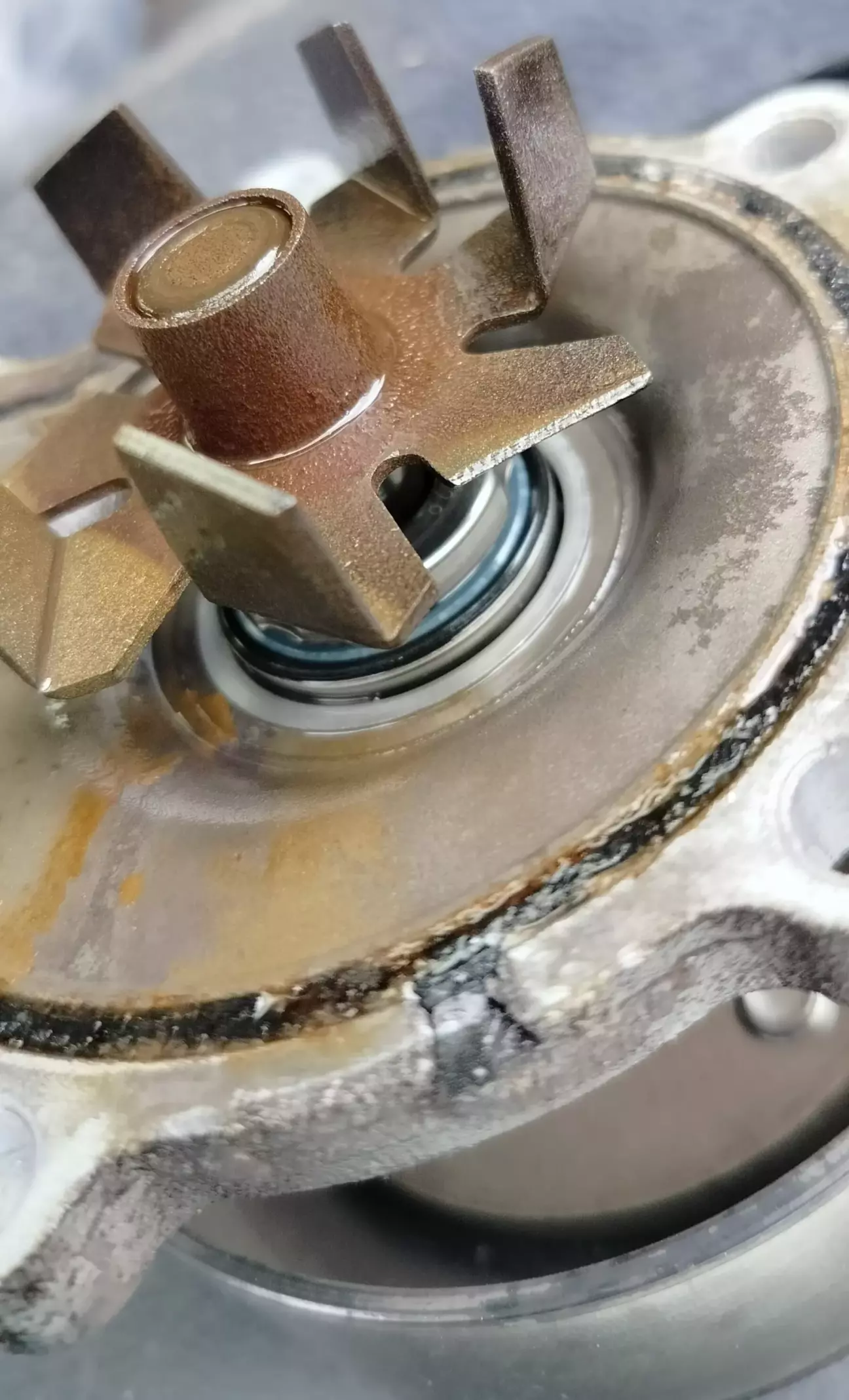 Водяний насос (помпа). Відсутні два крильчатки.