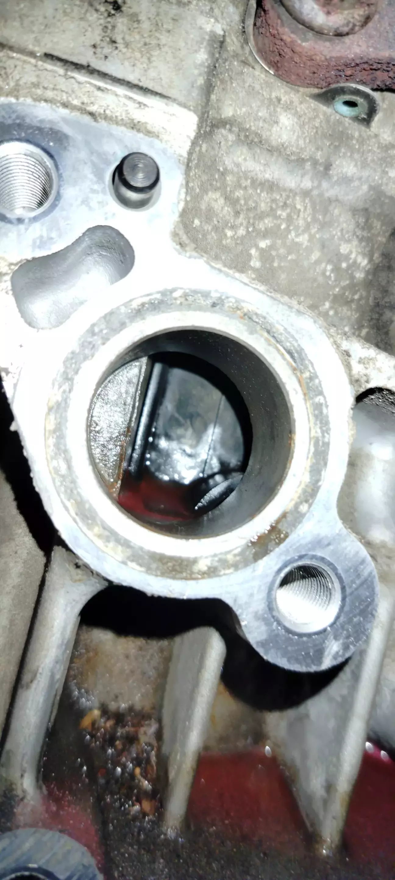 Водяний насос (помпа) знято. Зламаних крильчаток в двигуні не знайдено.