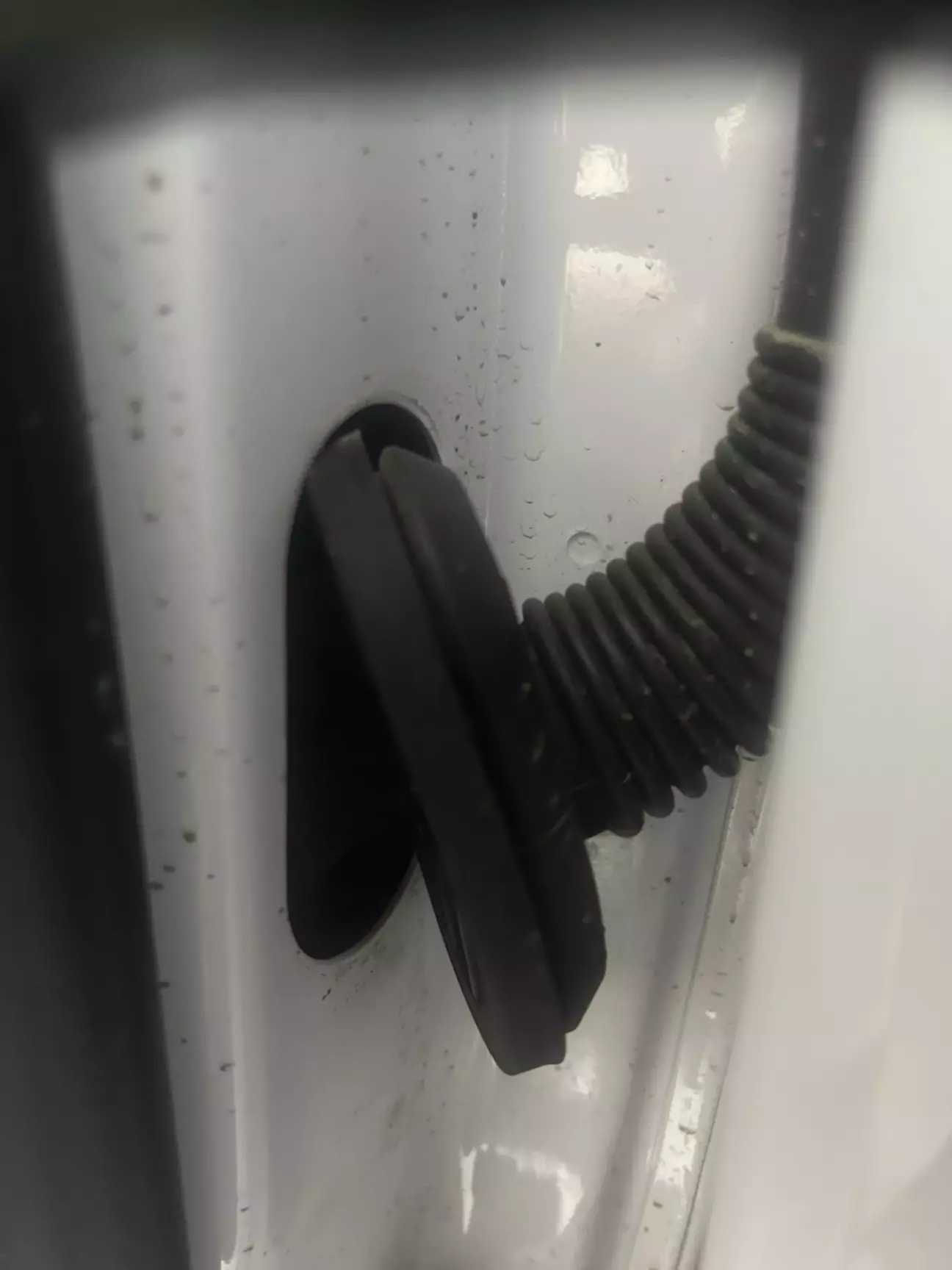 з'єднувальна гофра передніх дверей (в двері автомобіля)