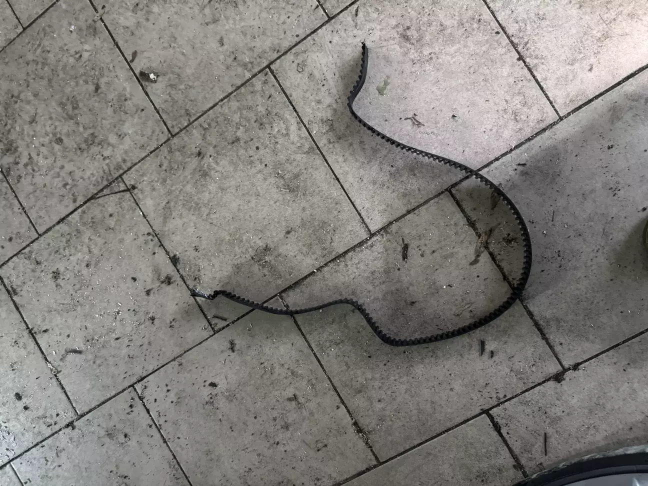 Ось цей гомосексуаліст!!! Якшо шо INA. Близько року йому