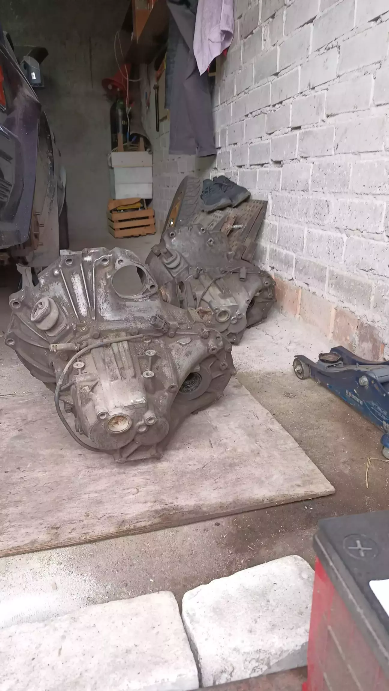 Максіма А32 (зліва), рідна з Блюба (справа)