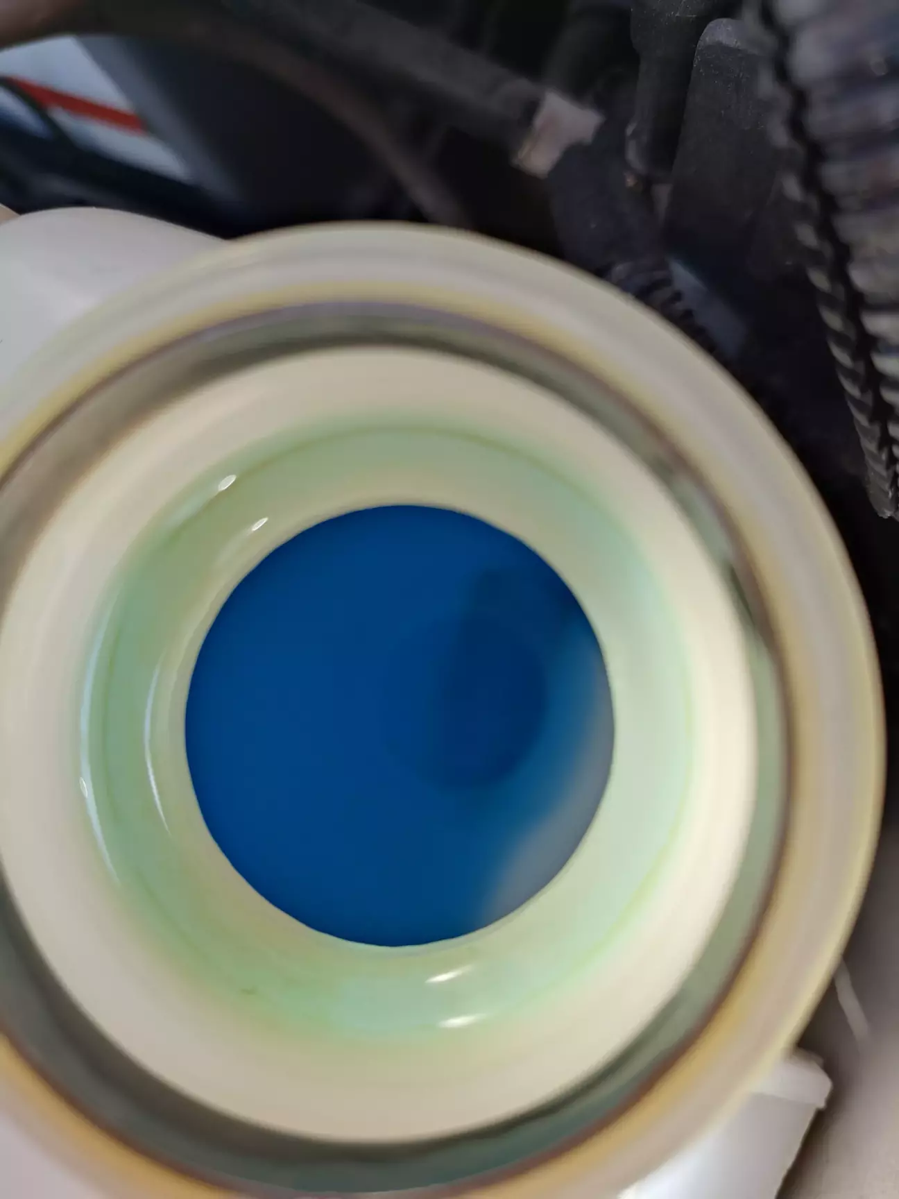 Так то совсем другое дело! Конечный результат двухдневного секаса с жОпелем