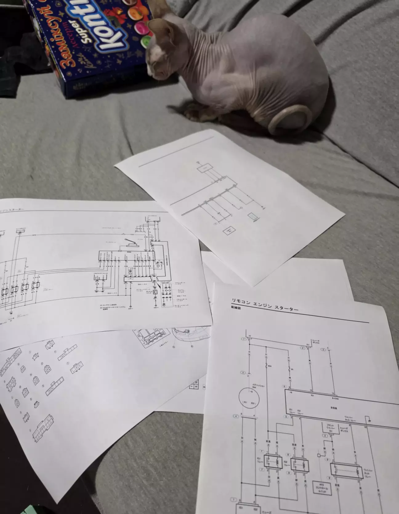 Кіт не дуже розумів що я роблю, я впринципі теж