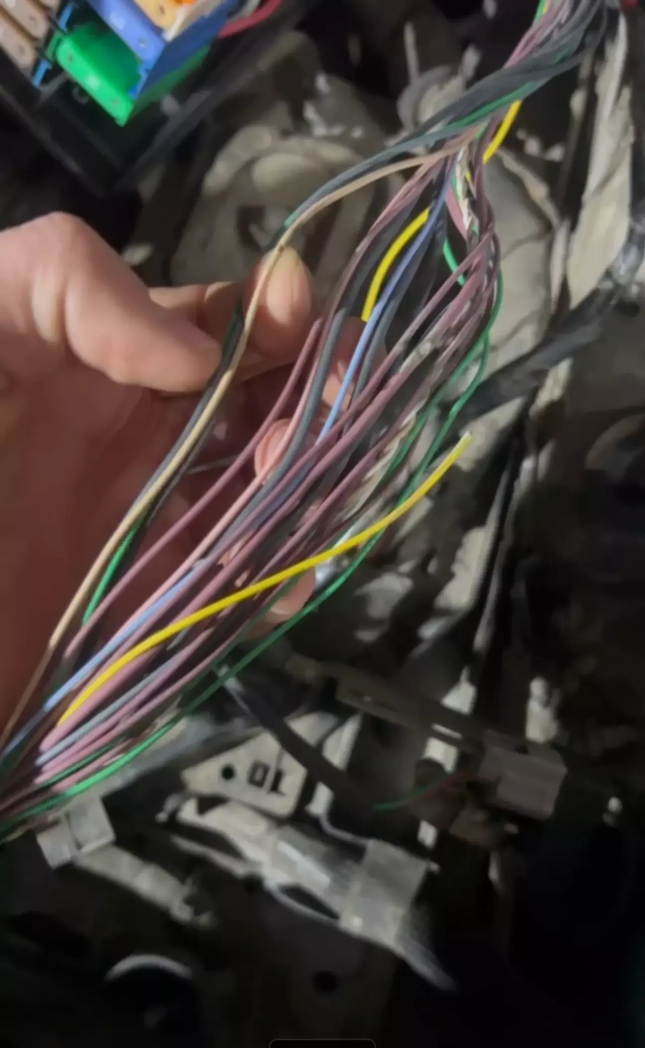 Жовтий власне розірваний повністю