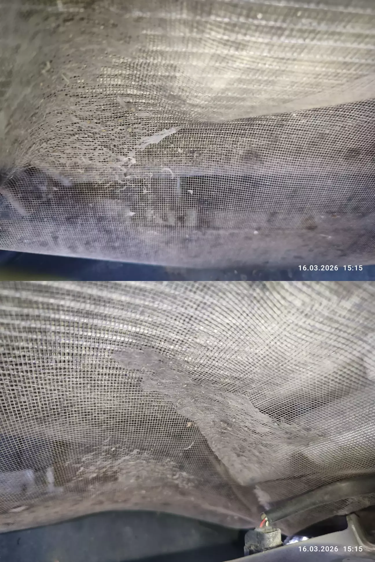 Запаковані соті на москитній сітці Ліва / права сторін від решітки радіатора.