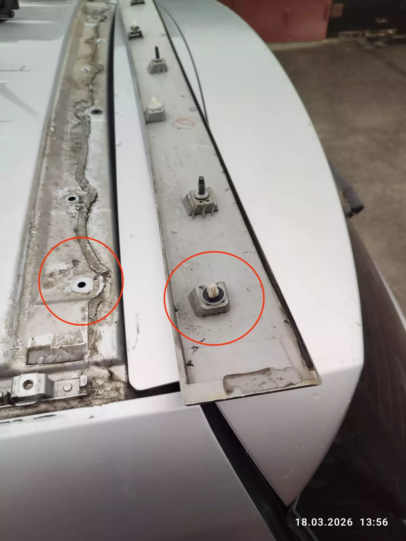 Картина маслом і сам винуватець