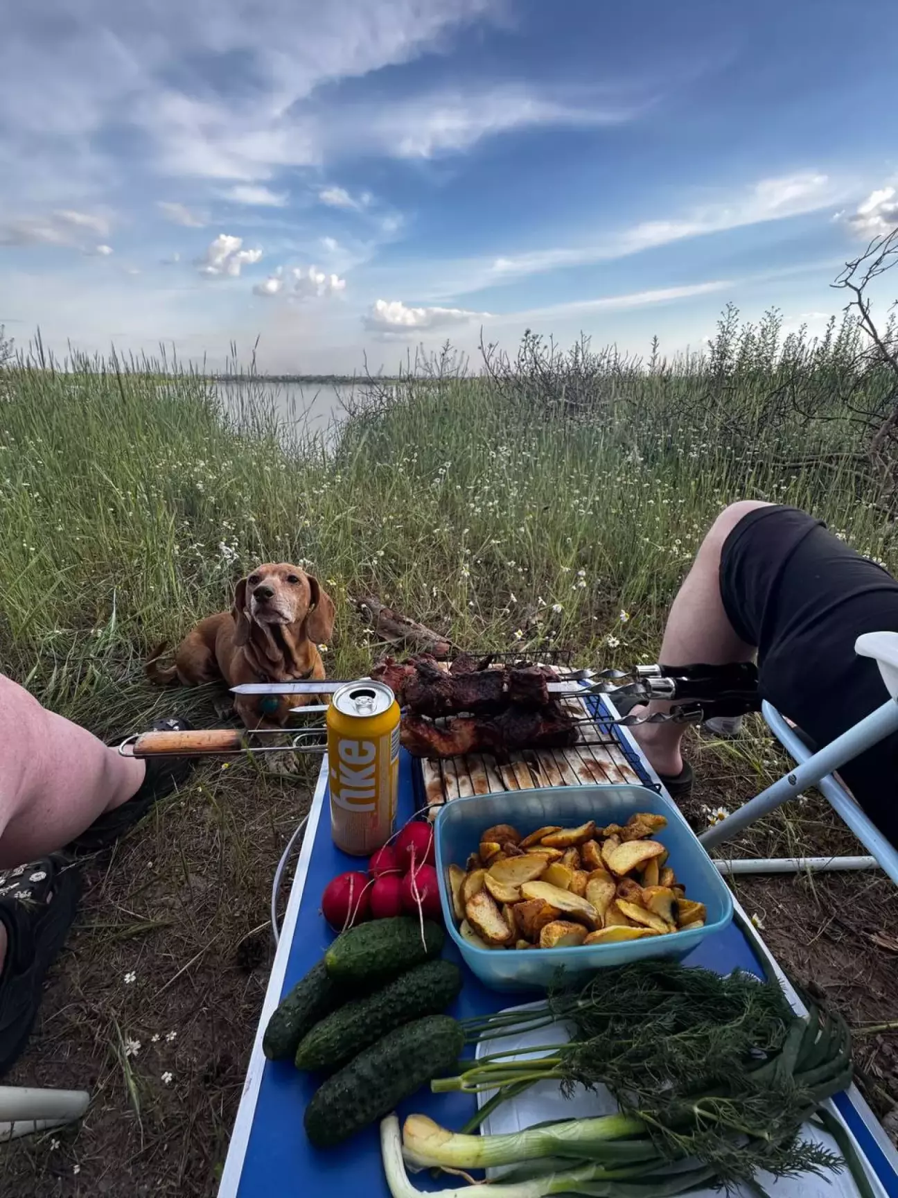 Шашлыки не сгорели, это фото так получилось 😁😁