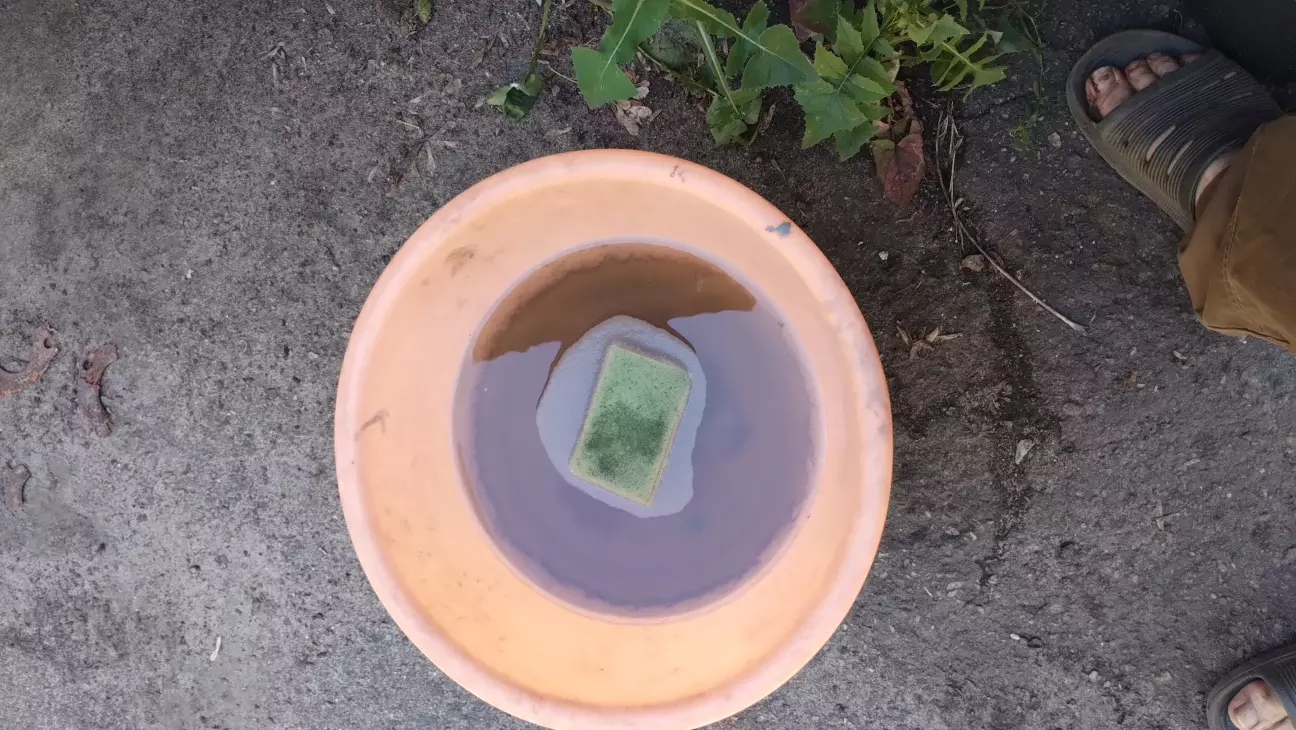 Це вода з милом після мийки пасків безпеки
