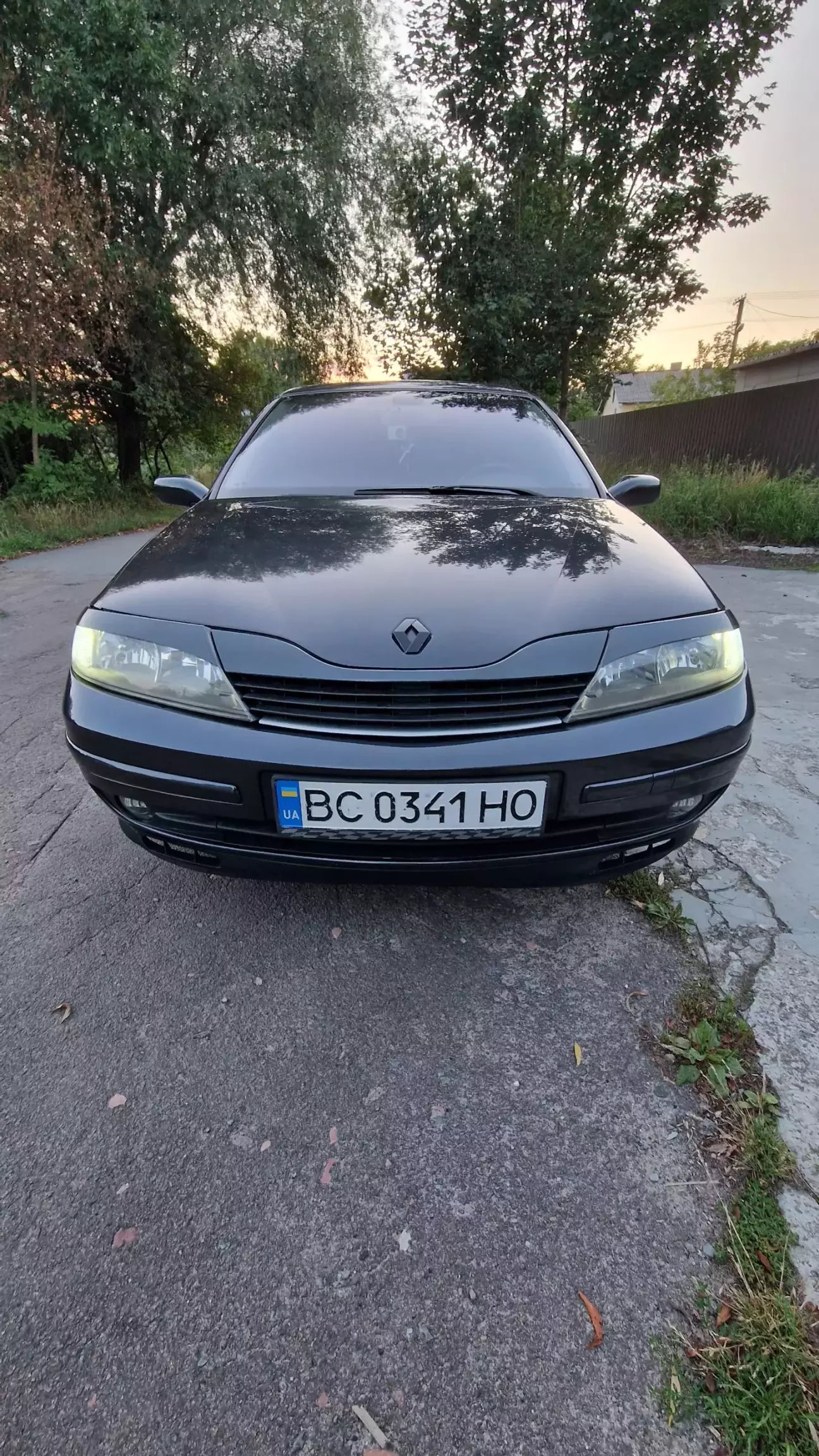16