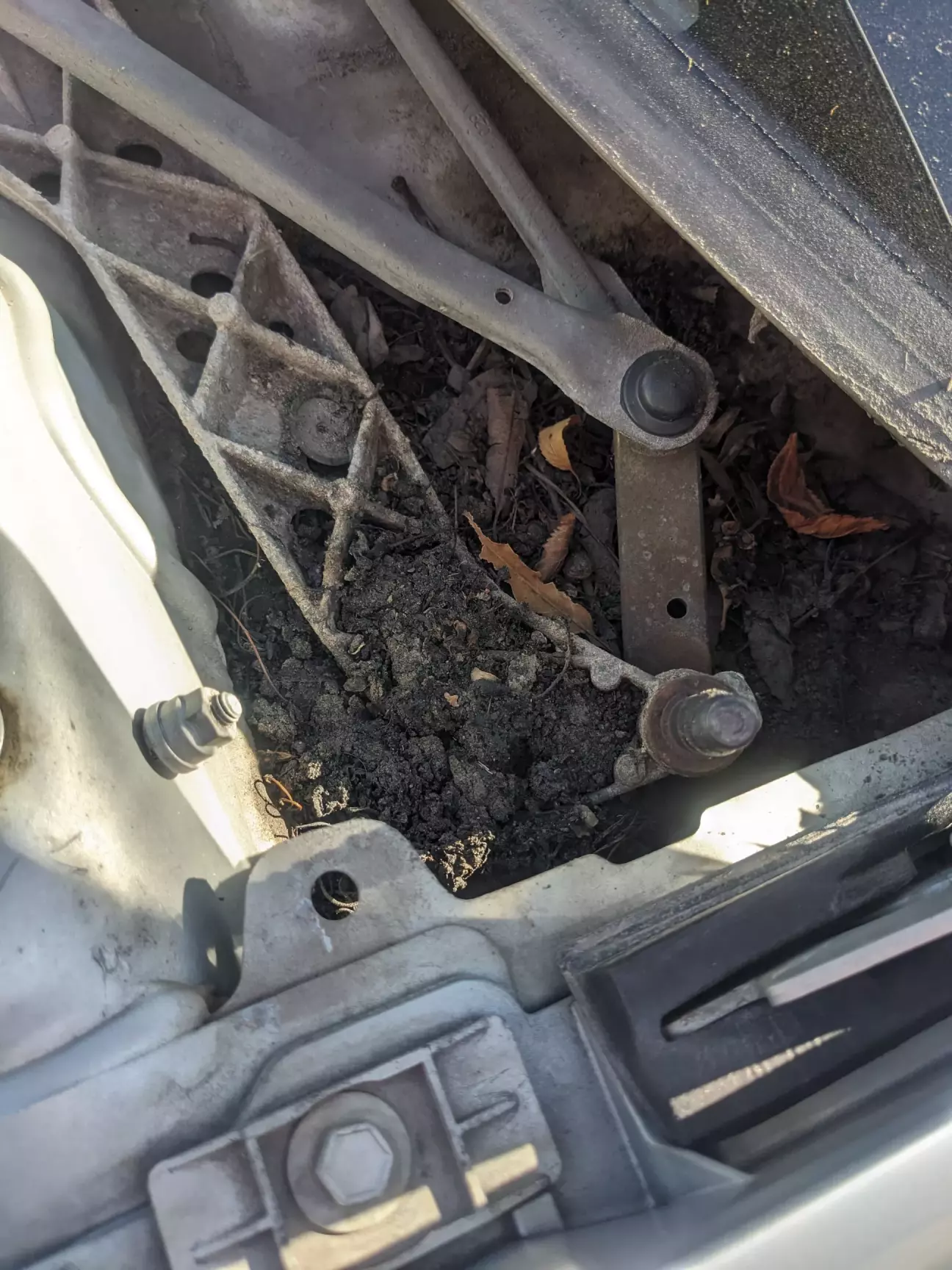От стільки бруду було під жабо з лівого боку